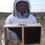 Johanna and Jack with new bees ready to go to hives that are waiting in the orchard. Johanna and Jack with new bees ready to go to hives that are waiting in the orchard.