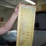 Scraping the wax cap so the honey can run out Scraping the wax cap so the honey can run out