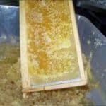 Scraping the wax cap so the honey can run out Scraping the wax cap so the honey can run out