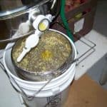Honey runs out of the extractor and into the filtering pail. Honey runs out of the extractor and into the filtering pail.